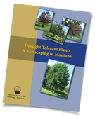 Drought Tolerant Plants in Montana Booklet