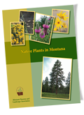 Native Plants in Montana Booklet